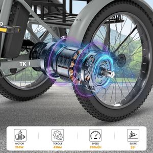 SUNYRISY 20-Inch Folding Electric Tricycle – Adult 3-Wheel Bike