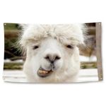 knuvkon Smiling Alpaca Meme Tapestry 3x5 Ft Funny Tapestry for College Dorm Decor Teen Guys Girls Bedroom Living Room Dorm Home Indoor Wall Decorations