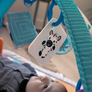 Baby Einstein 4-in-1 Play Gym – Multi-Mode Activity Mat for Infants