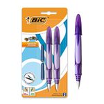 Bic Fountain Pen