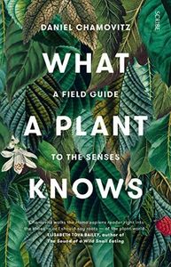 What a Plant Knows: a field guide to the senses