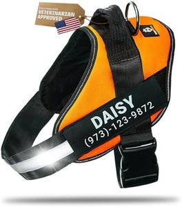DOGGYKINGDOM Personalized Dog Harness with Custom Name Patches, No Choke, Reflective, Adjustable, Soft Padded Dog Vest Harness with Easy Control Handle for Growing Puppy Size Dog, Orange, XS