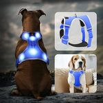 Domagiker Glowing Light Up Dog Harn