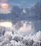 Woodmansterne Pack of 5 Artistic Charity Christmas Cards - Peace and Joy - Lovely Photographic Winter Lake Scene - 5 Cards of 1 Design