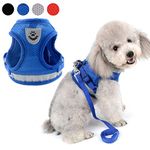 Zunea No Pull Dog Harness for Small Dog, Reflective Breathable Soft Mesh Padded Step-in Vest Harness Leash Set, Adjustable Puppy Boy Dog Cat Lead for Daily Walking Running Training - (Blue, M)