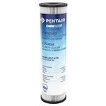 Pentair OMNIFilter RS1 Sediment Water Filter, 10-Inch, Standard Whole House Pleated Cellulose Sediment Replacement Filter Cartridge, 10" x 2.5", 20 Micron, Pack of 1