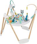 Evenflo Exersaucer Woodland Wonder 