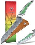 SANMUZUO 8 inch Serrated Bread Knife, Japanese VG-10 Damascus Steel Kitchen Knife, Ultra Sharp Bread Cutting Knife with Full-tang Handle in Green Resin, LA-S9 Series