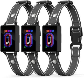 3 Pack Dog