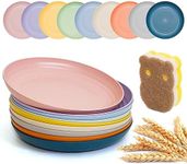 DAPIPIK 9 Pieces 9 Inch Plastic plates reusable, Wheat Straw Deep Dinner Plates,Lightweight Straw Plates, Dishwasher & Microwave Safe, Perfect for Dinner Dishes- Dishes for Kids Toddlers & Adults