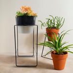 Kraft Seeds by 10CLUB Dual Tone Modern Metal Plant Stand with Planter - Grey Black | 8.5" Dia, 18" ht | Rust-Proof Powdercoating | Indoor & Balcony