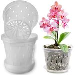 SAHENITEANA 4 Packs Orchid Pots for Repotting, Clear Orchid Pot with Holes and Saucers, Breathable Slotted Orchid Planters, Plastic Flower Plant Pots Indoor and Outdoor (Transparent, 6IN)