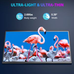 18.5" Portable Monitor – 120Hz FHD IPS, USB-C/HDMI, 100% sRGB, VESA, Smart Cover