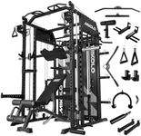 Mikolo Smith Machine with Weight St