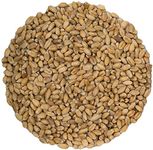 Organic, Cat Grass / Pet Grass Seed - 500g - Canadian-Grown and Packaged