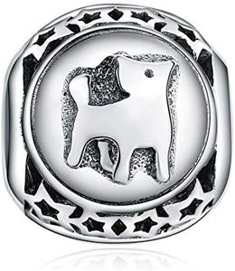 ChicSilver Taurus Zodiac Sign Charm fit Charms Bracelet, 925 Sterling Silver Star Bead Charm 12 Horoscope Constellation Charm for Bracelet and Necklace, Birthday Gifts