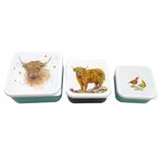 Puckator Jan Pashley Highland Coo Cow Set of 3 Lunch Box Snack Storage M/L/XL - Lunchbox with Multi Compartments - Small Food Containers - Lunchbox for Adults and Kids - Girls Boys Lunchbox