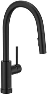 Kitchen Faucet KF120 (Standard, Matte Black)