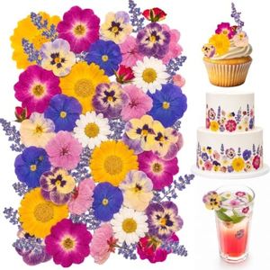 70 Pcs 11kinds Edible Dried Pressed Flowers for Cocktails & Cake Decorating – Food Grade Flowers for Drinks, Garnish & Crafts (Viola Tricolor,Rose,Lavender,Sakura,Calendula,Daisy)