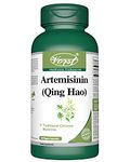 VORST Artemisinin 200mg Per Serving (100mg Per Capsule) 60 Vegan Capsules | Sweet Wormwood/Annual Mugwort Extract | Powder Pills | 1 Bottle