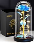 Otlonpe Christmas Birthday Gifts for Women Mom,Retirement Best Friend Rose Gifts for Women,Light Up Glass Rose Gifts for Mom Teacher,Valentines for Wife Girlfriend Her