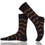 Mysocks Unisex Ankle Design Socks Fox, Fox, 7-11 uK