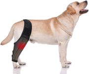 Dog Knee Braces for Back Leg for Su