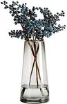 Qiccijoo Clear Glass Vase, Cylinder Flower Vase for Floral Arrangements, Weddings, Home Decor or Office,21.5cm/8.5in Tall,7cm/2.8in Opening（Grey）