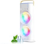 Double Ended Spray Cooler, 2025 New 3 Gears USB Rechargeable Quiet fan with LED Light & Remote Control, 280ml Water Ice Tank, Mini Cooler for Business & Home Use, Energy Saving, Heatstroke Prevention