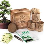 Bonsai Starter Kit - DIY Bonsai Growing Gift - Garden Hobbies for Adults, Women & Men : 4 Unique Tree Seeds, Soil, Pots, Pruning Shears, Plant Markers + Wood Gift Box