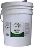 EcoGen ECOPRW-B Pressure Washer Cleaner Concentrate, 5 gal Bucket