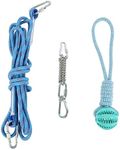 Black Rhino Tetherball set for Dogs - Heavy Duty Outdoor Dog Toy - Interactive Dog Rope Ball for Playground