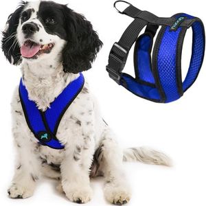 Gooby - Comfort X Head-in Harness, Choke Free Small Dog Harness with Micro Suede Trimming and Patented X Frame, Blue, Medium