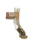 Natural Dakota Premium Deer Antler Dog Chew Toys (XX-Large) Goliath