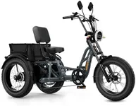 Tour LITE Electric Tricycle for Adu