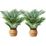 LOMANTO Fake Majesty Palm Plant 2Ft Artificial Plants for Home Decor Indoor Small Faux Trees in Pot Fake Tropical Plants for Housewarming Gift 2Pack