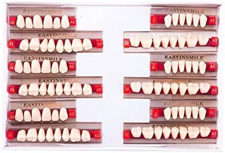 84PCS Dental Synthetic Resin Teeth Denture A2 Upper Lower False Tooth for Halloween Horror (Full Set 468+U67+34, A2)