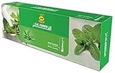 New Fakher Mint Flavor pack of 10 b
