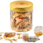 Canadian Vita Ginseng Supplement - 5-Year Canadian Ginseng Dried Root Slices - Make Ginseng Tea - Boost Energy & Immunity