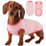 Hjyokuso Dachshund Jumper, Sausage Dog Jumper, Dog Shirts For Small Dogs, Dog Fleece Vest Sweater Stretch Sweatshirt, Lightweight Pullover, Spring Autumn Winter Dog Clothes For Miniature Dachshund S