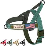 Annchwool No Pull Dog Harness with 