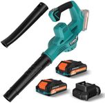 Leaf Blower Cordless with 2 * 20V B