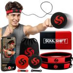 Boxing Reflex Ball Set w/APP & Instructions – 2 Boxing Ball, 2 Adjustable Headbands for Kids & Adults | Improve Focus and Hand Eye Coordination Training with Pro-Grade Boxing Equipment for MMA
