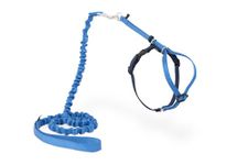 PetSafe Come With Me Kitty Harness and Bungee Leash, Harness for Cats, Medium, Royal Blue/Navy