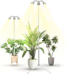 TAURUSY Grow Lights for Indoor Plan