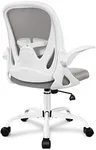 Primy Office Chair Ergonomic Desk Chair with Adjustable Lumbar Support and Height, Swivel Breathable Desk Mesh Computer Chair with Flip up Armrests for Conference Room（Gray）