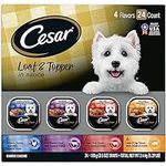CESAR Adult Wet Dog Food Loaf in Sa
