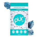 PUR Gum | Sugar Free Chewing Gum | Made with Xylitol | Vegan, Aspartame Free, Gluten Free and Keto Friendly | Natural Wintergreen Flavoured Gum, 55 Pieces (Pack of 1)