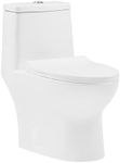 Ivy One Piece Toilet, 10" Rough-in