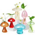 KiKiHeim Plant Propagation Station, Set of 6 Colorful Mushroom Glass Planter, Mini Terrarium for Plants, Unique Small Bud Vase for Flowers, Cute Hydroponics for Home Decor